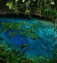 Enchanted River