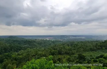 Green Mountain View