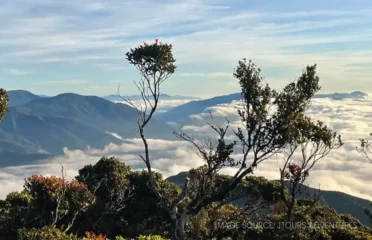 Mt. Napulauan