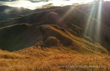 Mt. Pulag