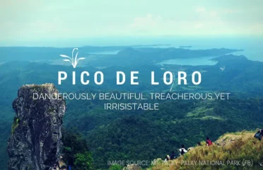 Mt. Pico de Loro