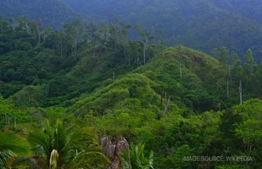 Sierra Madre Mountains