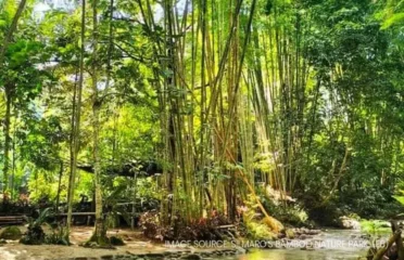 Silmaro Bamboo Nature Park