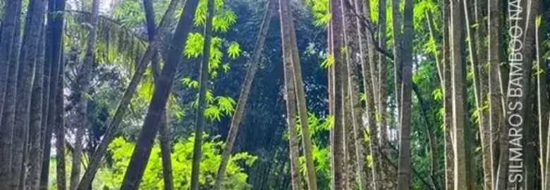 Silmaro Bamboo Nature Park